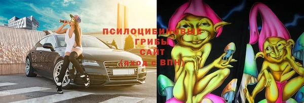 хмурый Кодинск